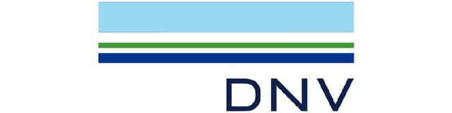 Slik fikk DNV 300 kvalifiserte søknader og ansatte 29 nye talenter logo